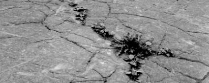 File written by Adobe Photoshop� 4.0